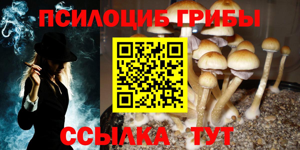 Домодедово  Псилоцибиновые грибы мицелий  Вход с VPN 